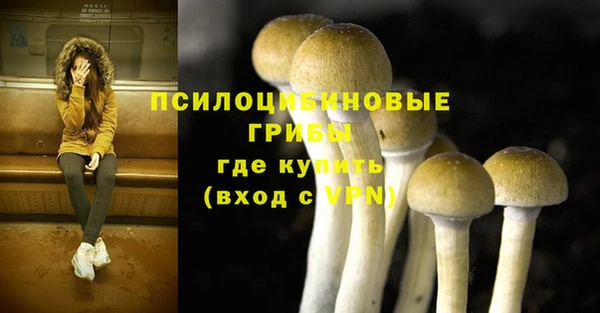 спиды Медногорск