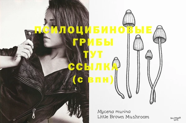 спиды Медногорск